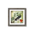 Picture of Tropical Paradise Birds Garden _GroupedProduct_Square_Framed_Matted_