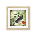 Picture of Tropical Paradise Birds Garden _GroupedProduct_Square_Framed_Matted_