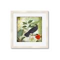 Picture of Tropical Paradise Birds Garden _GroupedProduct_Square_Framed_Matted_