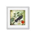 Picture of Tropical Paradise Birds Garden _GroupedProduct_Square_Framed_Matted_