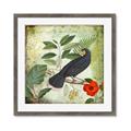 Picture of Tropical Paradise Birds Garden _GroupedProduct_Square_Framed_Matted_