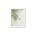 Picture of Few Olive Tree Leaves _GroupedProduct_Rectangle_Portrait_Photography _GroupedProduct_Rectangle_Portrait_Framed_Matted_