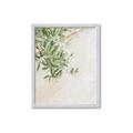 Picture of Few Olive Tree Leaves _GroupedProduct_Rectangle_Portrait_Photography _GroupedProduct_Rectangle_Portrait_Framed_Matted_