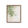 Picture of Few Olive Tree Leaves _GroupedProduct_Rectangle_Portrait_Photography _GroupedProduct_Rectangle_Portrait_Framed_Matted_
