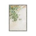 Picture of Few Olive Tree Leaves _GroupedProduct_Rectangle_Portrait_Photography _GroupedProduct_Rectangle_Portrait_Framed_Matted_
