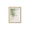 Picture of Few Olive Tree Leaves _GroupedProduct_Rectangle_Portrait_Photography _GroupedProduct_Rectangle_Portrait_Framed_Matted_