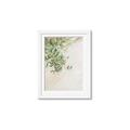 Picture of Few Olive Tree Leaves _GroupedProduct_Rectangle_Portrait_Photography _GroupedProduct_Rectangle_Portrait_Framed_Matted_