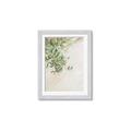Picture of Few Olive Tree Leaves _GroupedProduct_Rectangle_Portrait_Photography _GroupedProduct_Rectangle_Portrait_Framed_Matted_