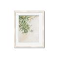 Picture of Few Olive Tree Leaves _GroupedProduct_Rectangle_Portrait_Photography _GroupedProduct_Rectangle_Portrait_Framed_Matted_