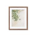 Picture of Few Olive Tree Leaves _GroupedProduct_Rectangle_Portrait_Photography _GroupedProduct_Rectangle_Portrait_Framed_Matted_