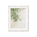 Picture of Few Olive Tree Leaves _GroupedProduct_Rectangle_Portrait_Photography _GroupedProduct_Rectangle_Portrait_Framed_Matted_