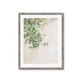 Picture of Few Olive Tree Leaves _GroupedProduct_Rectangle_Portrait_Photography _GroupedProduct_Rectangle_Portrait_Framed_Matted_