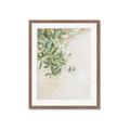 Picture of Few Olive Tree Leaves _GroupedProduct_Rectangle_Portrait_Photography _GroupedProduct_Rectangle_Portrait_Framed_Matted_