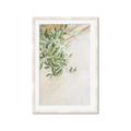 Picture of Few Olive Tree Leaves _GroupedProduct_Rectangle_Portrait_Photography _GroupedProduct_Rectangle_Portrait_Framed_Matted_