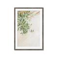 Picture of Few Olive Tree Leaves _GroupedProduct_Rectangle_Portrait_Photography _GroupedProduct_Rectangle_Portrait_Framed_Matted_