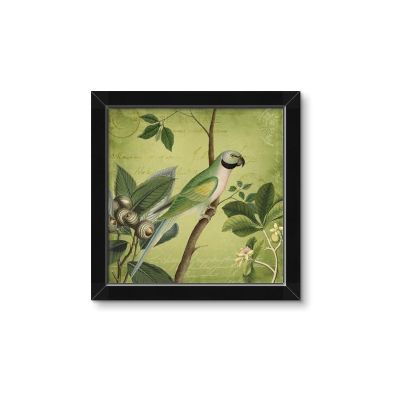 Picture of Vintage Tropical Birds I _GroupedProduct_Square_Framed_Matted_
