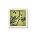 Picture of Vintage Tropical Birds I _GroupedProduct_Square_Framed_Matted_