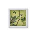 Picture of Vintage Tropical Birds I _GroupedProduct_Square_Framed_Matted_
