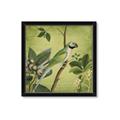 Picture of Vintage Tropical Birds I _GroupedProduct_Square_Framed_Matted_