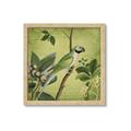 Picture of Vintage Tropical Birds I _GroupedProduct_Square_Framed_Matted_