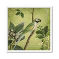 Picture of Vintage Tropical Birds I _GroupedProduct_Square_Framed_Matted_