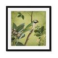 Picture of Vintage Tropical Birds I _GroupedProduct_Square_Framed_Matted_