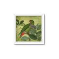 Picture of Vintage Tropical Birds II _GroupedProduct_Square_Framed_Matted_