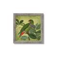 Picture of Vintage Tropical Birds II _GroupedProduct_Square_Framed_Matted_