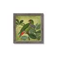 Picture of Vintage Tropical Birds II _GroupedProduct_Square_Framed_Matted_