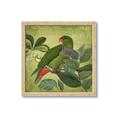 Picture of Vintage Tropical Birds II _GroupedProduct_Square_Framed_Matted_