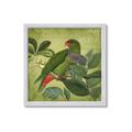 Picture of Vintage Tropical Birds II _GroupedProduct_Square_Framed_Matted_