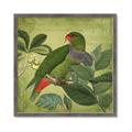 Picture of Vintage Tropical Birds II _GroupedProduct_Square_Framed_Matted_