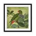 Picture of Vintage Tropical Birds II _GroupedProduct_Square_Framed_Matted_