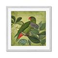 Picture of Vintage Tropical Birds II _GroupedProduct_Square_Framed_Matted_