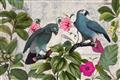 Picture of Blue Nostalgic Tropical Parrot Birds _GroupedProduct_Rectangle_Landscape_Unframed_Print_Only_