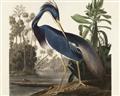 Picture of Vintage Heron Bird _GroupedProduct_Rectangle_Landscape_Unframed_Print_Only_