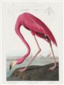 Picture of Vintage Pink Flamingo _GroupedProduct_Rectangle_Portrait_Unframed_Print_Only_