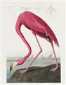 Picture of Vintage Pink Flamingo _GroupedProduct_Rectangle_Portrait_Unframed_Print_Only_