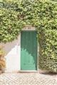 Picture of Green Door with Lush Leaves _GroupedProduct_Rectangle_Portrait_Photography _GroupedProduct_Rectangle_Portrait_Unframed_Print_Only_