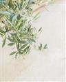 Picture of Few Olive Tree Leaves _GroupedProduct_Rectangle_Portrait_Photography _GroupedProduct_Rectangle_Portrait_Unframed_Print_Only_
