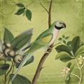 Picture of Vintage Tropical Birds I _GroupedProduct_Square_Unframed_Print_Only_