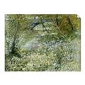 Picture of Vincent Van Gogh's River Bank In Springtime (1887) _GroupedProduct_Rectangle_Landscape_Unframed_Print_Only_
