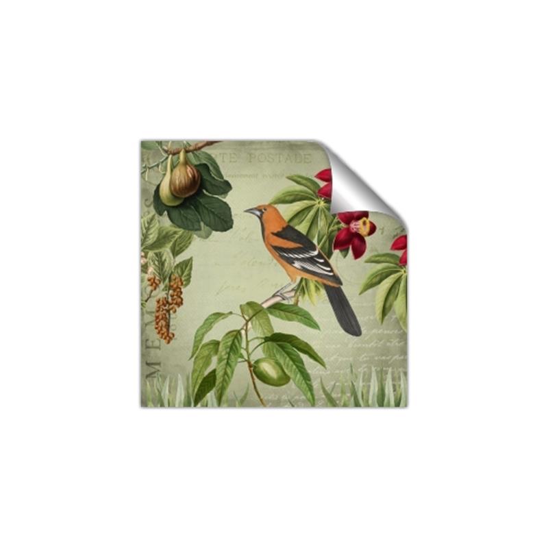 Picture of Tangerine Vintage Bird _GroupedProduct_Square_Unframed_Print_Only_