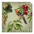 Picture of Tangerine Vintage Bird _GroupedProduct_Square_Unframed_Print_Only_