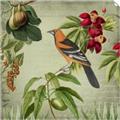 Picture of Tangerine Vintage Bird _GroupedProduct_Square_Unframed_Print_Only_