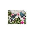 Picture of Blue Nostalgic Tropical Parrot Birds _GroupedProduct_Rectangle_Landscape_Unframed_Print_Only_