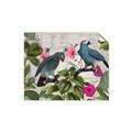 Picture of Blue Nostalgic Tropical Parrot Birds _GroupedProduct_Rectangle_Landscape_Unframed_Print_Only_