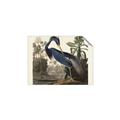 Picture of Vintage Heron Bird _GroupedProduct_Rectangle_Landscape_Unframed_Print_Only_