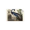 Picture of Vintage Heron Bird _GroupedProduct_Rectangle_Landscape_Unframed_Print_Only_