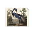 Picture of Vintage Heron Bird _GroupedProduct_Rectangle_Landscape_Unframed_Print_Only_